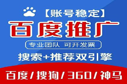 SEM代运营公司案例分析报告